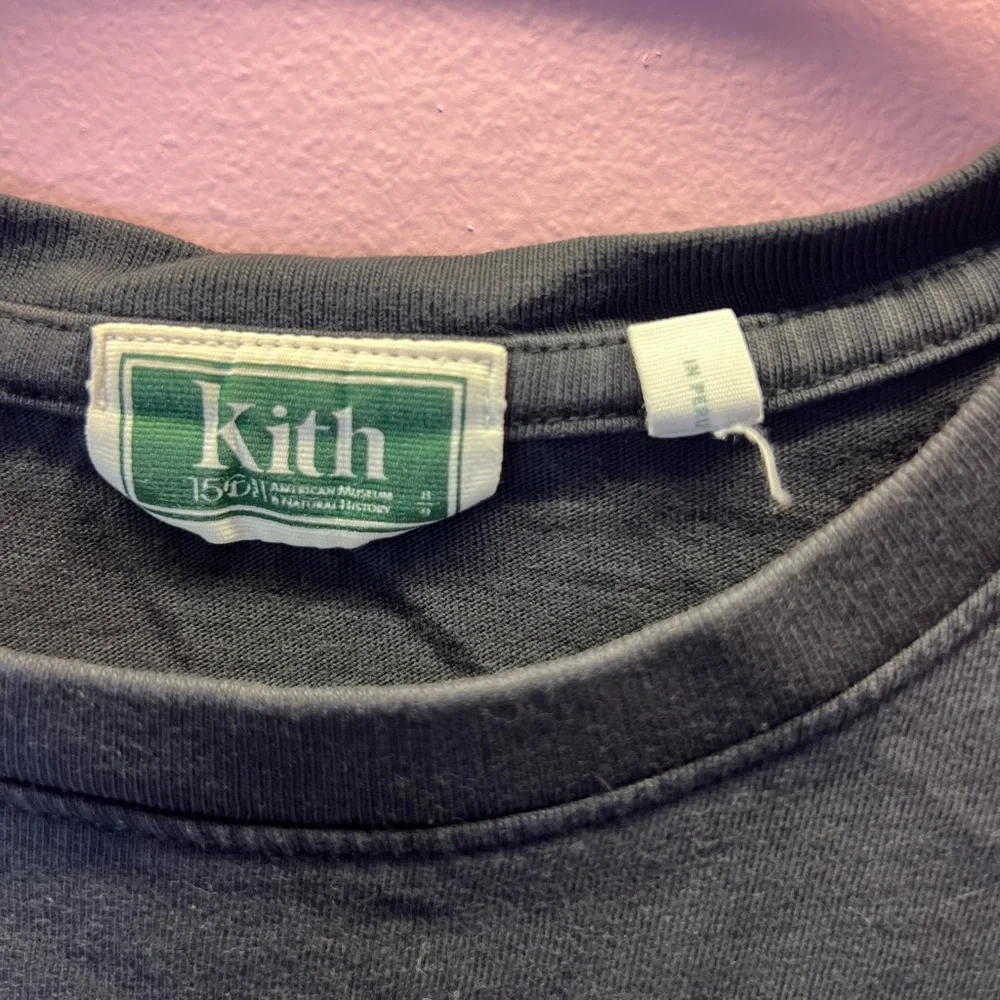 Kith Charcoal Crewneck Tee dinosaur - Picture 3 of 5
